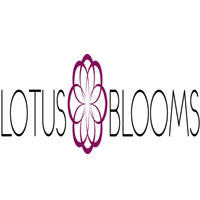 Lotus Blooms