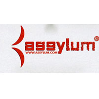 Assylum