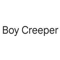 Boy Creeper
