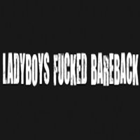 Ladyboys Fucked Bareback