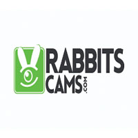 RabbitsCams