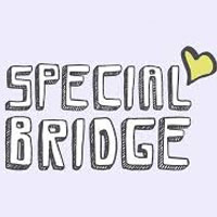 Special Bridge