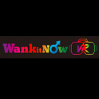 Wank it Now VR